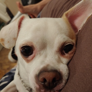 Fundraising Page: Tracy Tanner